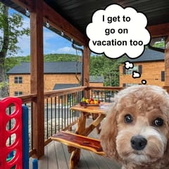 2 Pools, 2 Lakes, Pickleball, beautiful cabin