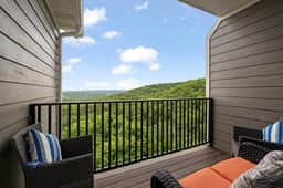 3111 Close to Silver Dollar City, Save 10% on tix - Image 5