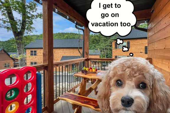 2 Pools, 2 Lakes, Pickleball, beautiful cabin - Image 1