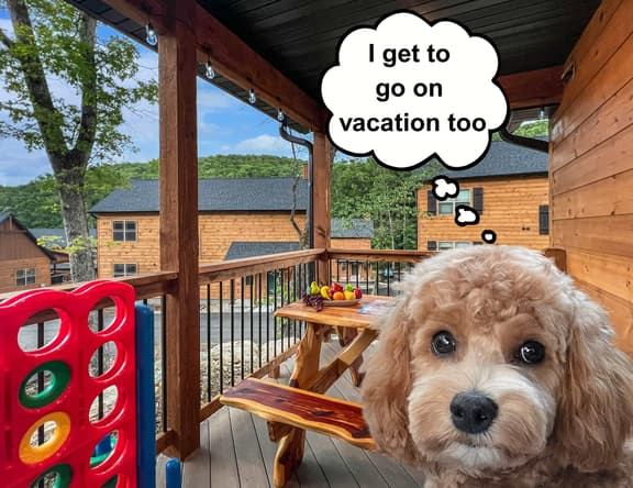 2 Pools, 2 Lakes, Pickleball, beautiful cabin - Image 1